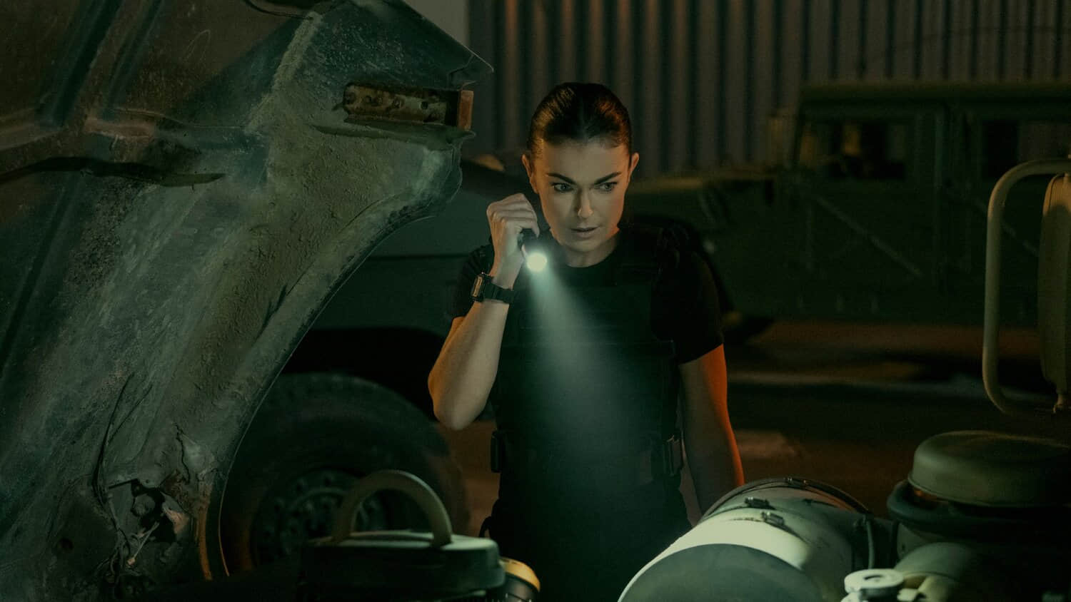 serinda-swan-as-karla-dixon-in-season-2-of-reacher.jpeg