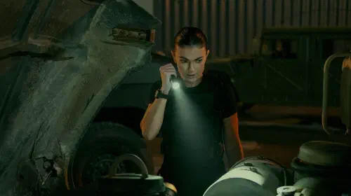 assets/serinda-swan-as-karla-dixon-in-season-2-of-reacher.jpeg