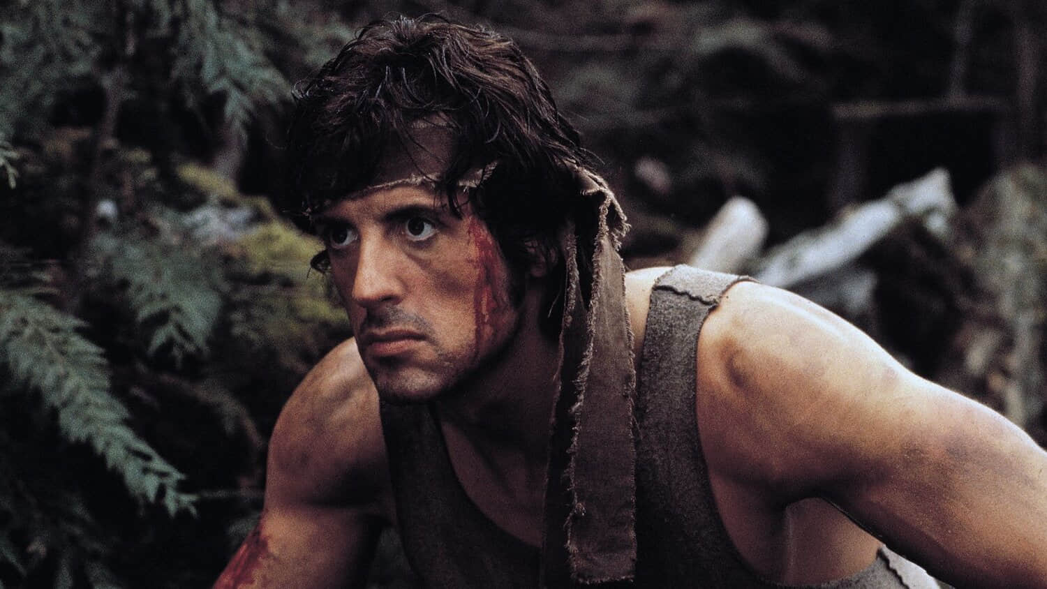john-rambo-crouched-down.jpeg