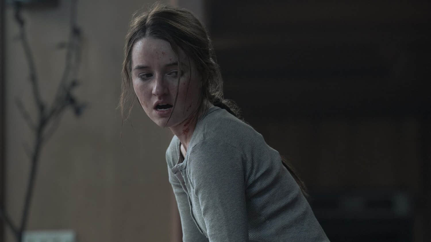 kaitlyn-dever-as-abby-with-blood-streaked-across-her-face-in-the-last-of-us-season-2.jpeg