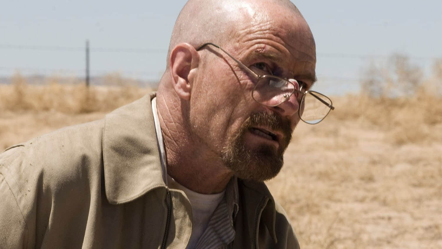 breaking-bad-bryan-cranston-season-4.jpeg