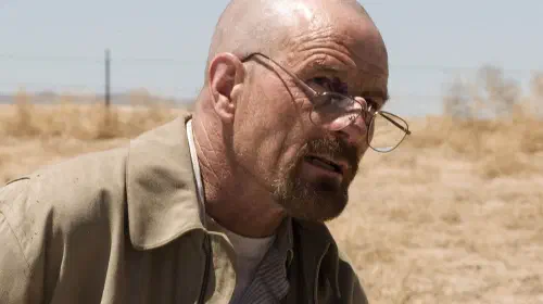 assets/breaking-bad-bryan-cranston-season-4.jpeg