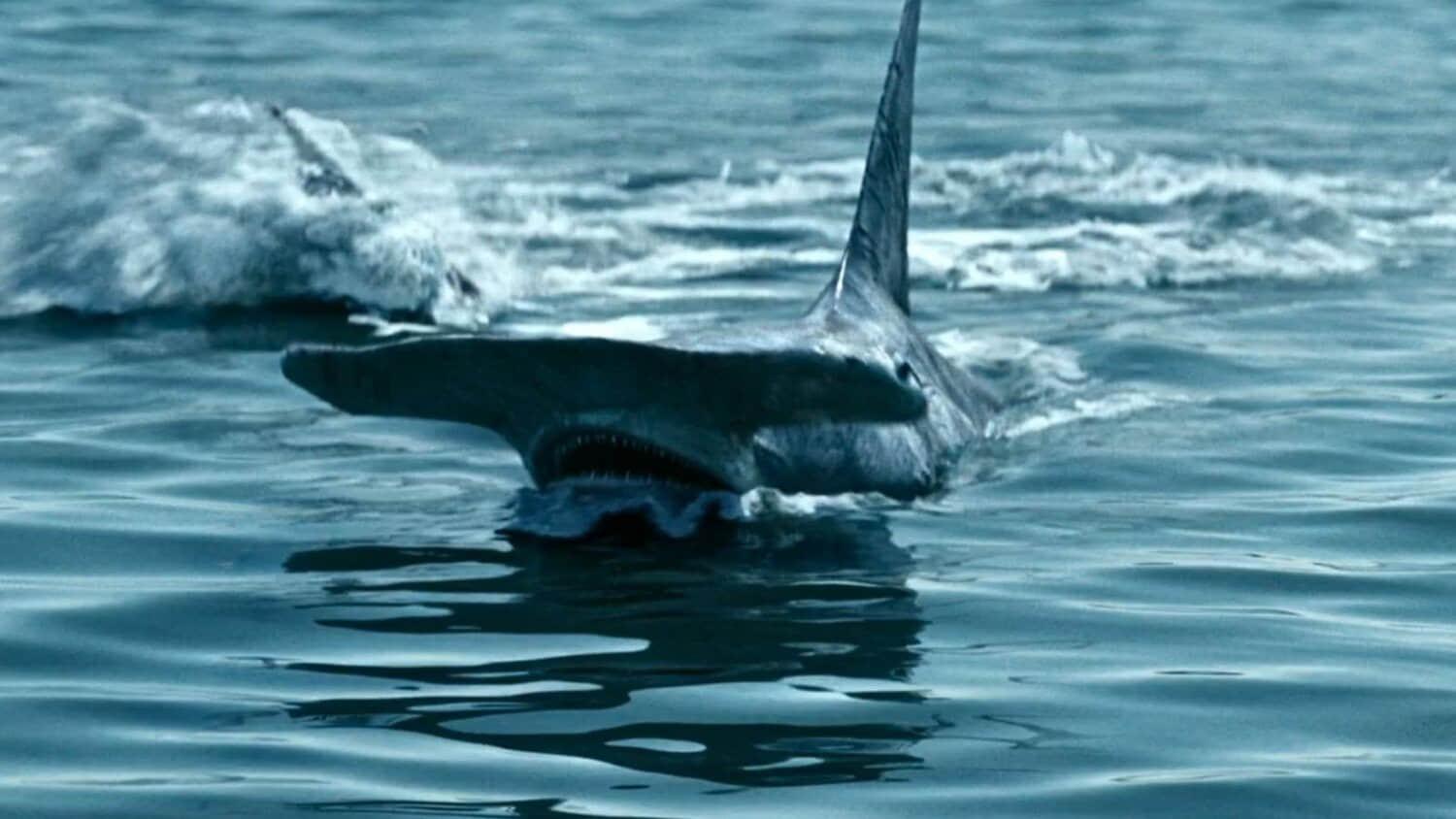 samuel-l-jackson-as-shark-in-the-boys.jpeg