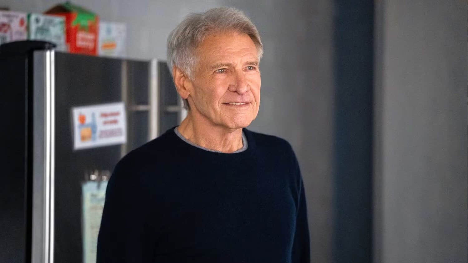 shrinking-s-harrison-ford-as-paul-rhoades.jpeg
