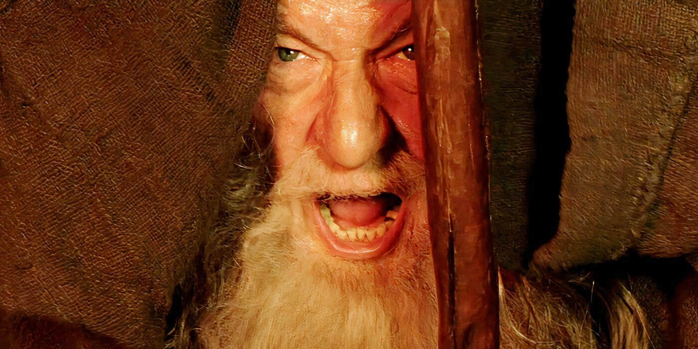 ian-mckellan-as-gandalf-blocking-the-balrog-with-his-staff-in-lord-of-the-rings-the-two-towers.jpeg