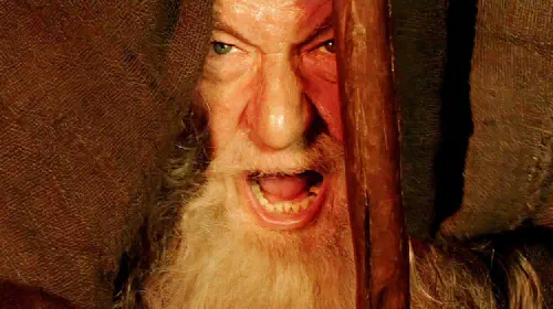 assets/ian-mckellan-as-gandalf-blocking-the-balrog-with-his-staff-in-lord-of-the-rings-the-two-towers.jpeg