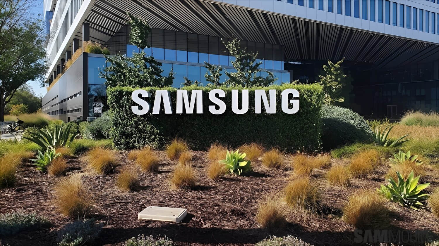 Samsung-1.jpeg