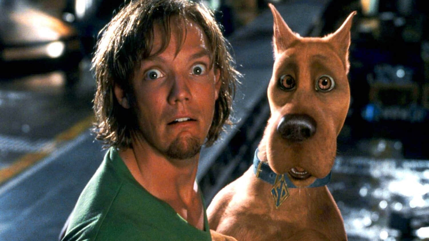 matthew-lillard-in-scooby-doo-monsters-unleashed.jpeg