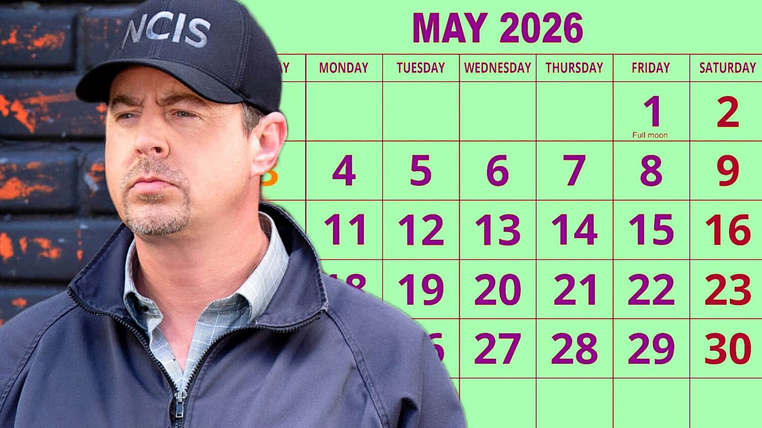 mcgee-from-ncis-and-may-2026-calendar.jpeg