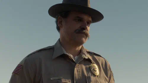 assets/stranger-things-jim-hopper-david-harbour.jpeg