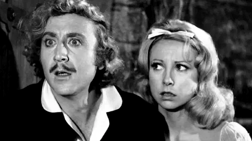 assets/young-frankenstein.jpeg