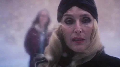 assets/gillian-anderson-in-teenage-sex-and-death-at-camp-miasma.jpeg