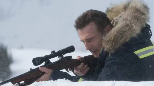assets/liam-neeson-cold-pursuit-leaving-streaming-netflix-june-2026-action-thriller.jpeg