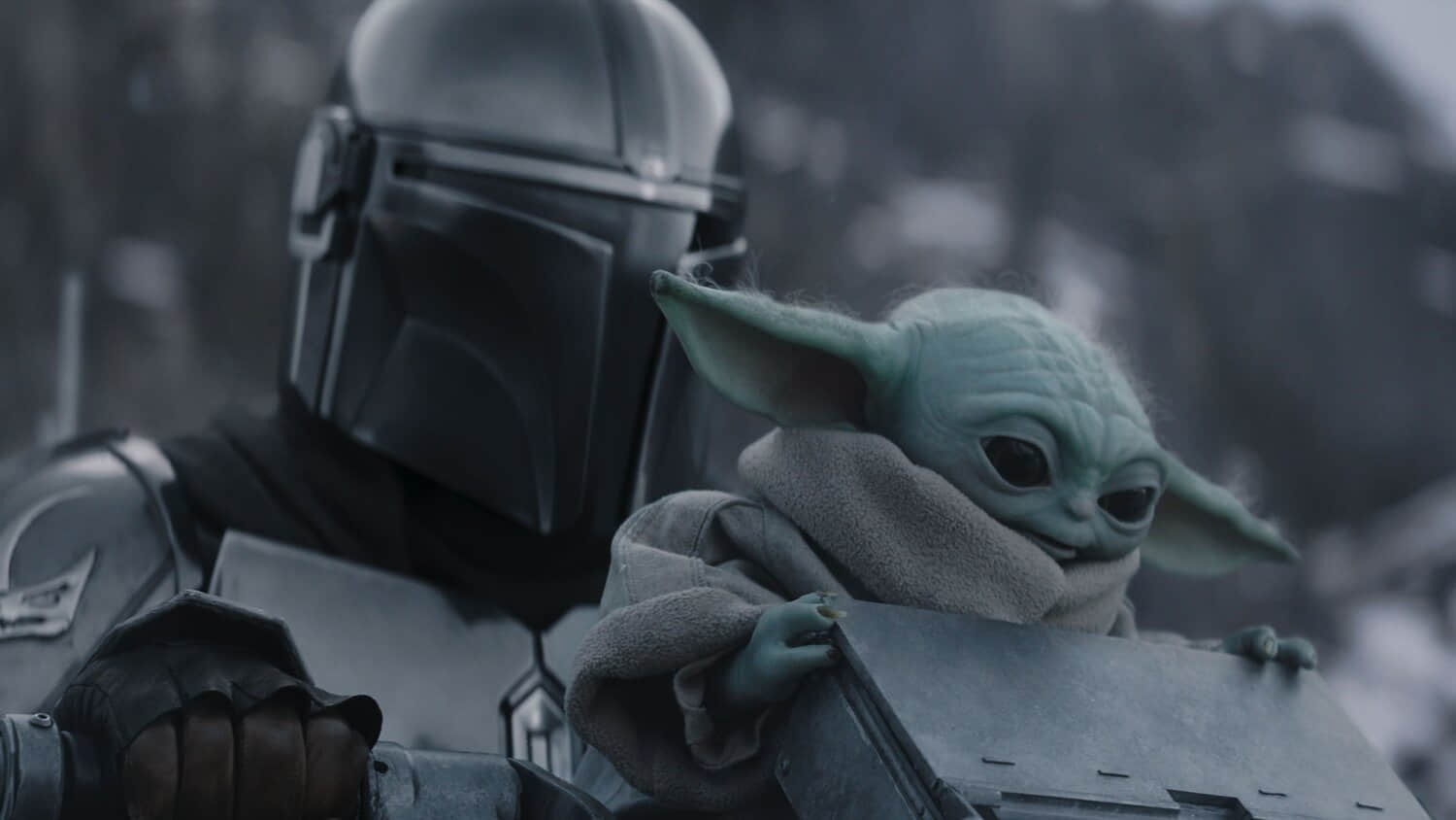 star-wars-the-mandalorian-and-grogu_6ere8m.jpeg
