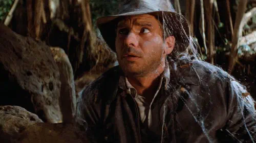 assets/harrison-ford-as-indiana-jones-in-raiders-of-the-lost-ark.jpeg