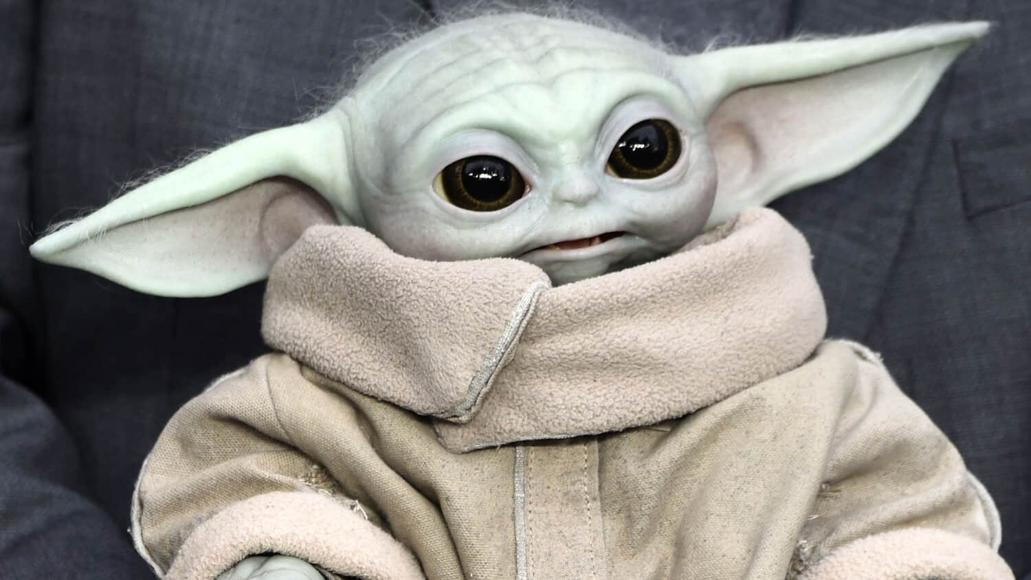 grogu-being-held-at-a-star-wars-fan-event.jpeg