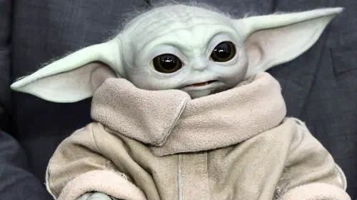 assets/grogu-being-held-at-a-star-wars-fan-event.jpeg