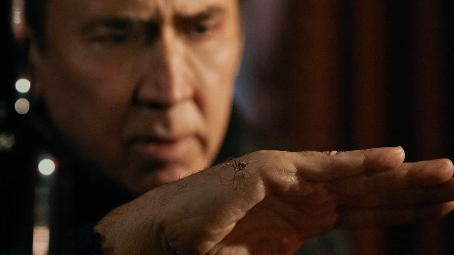 nicolas-cage-in-spider-noir.jpeg