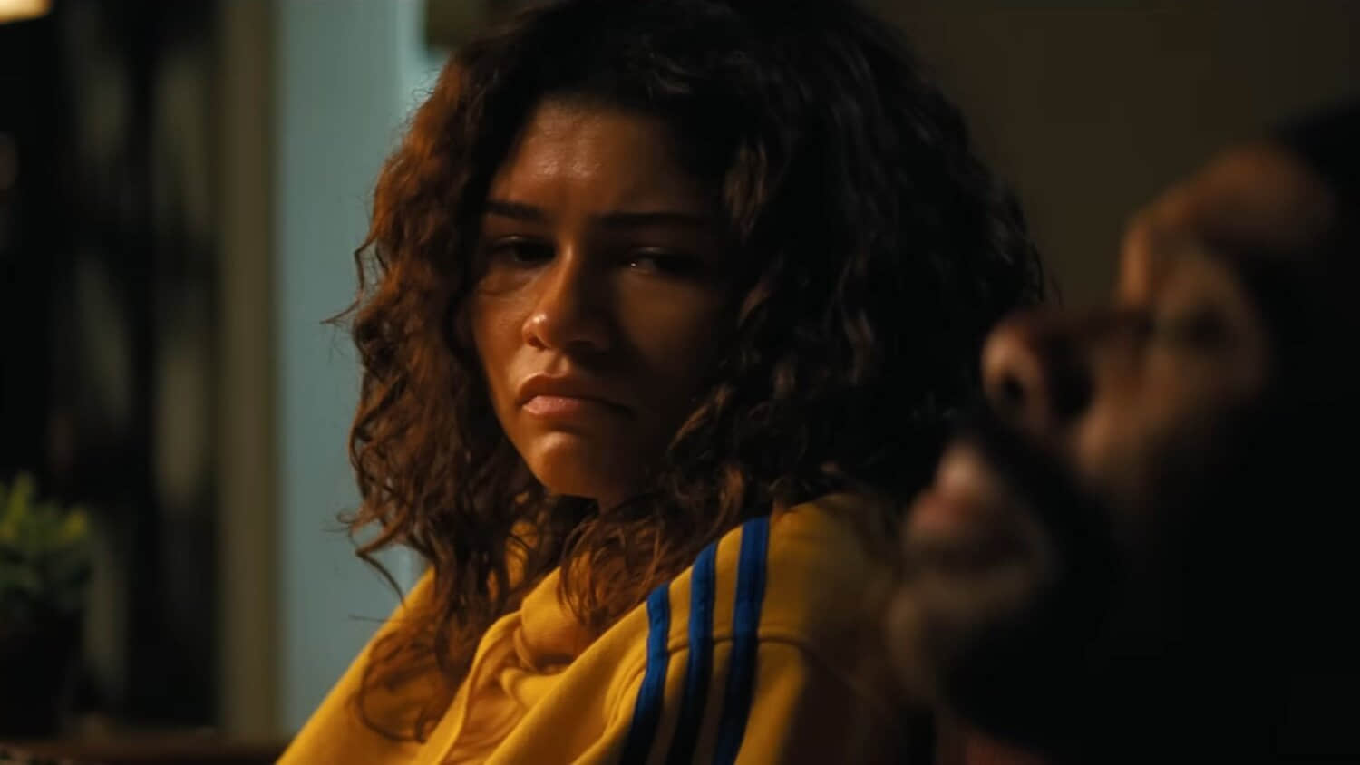 zendaya-as-rue-in-euphoria.jpeg
