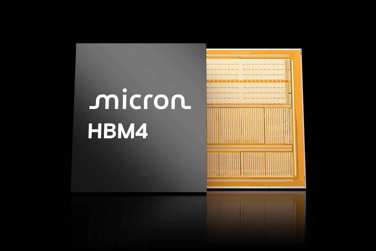 Micron-HBM4.jpeg