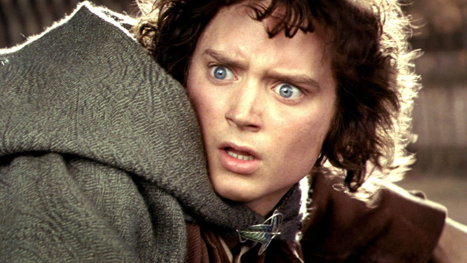 elijah-wood-looking-shocked-as-frodo-in-lord-of-the-rings-the-two-towers.jpeg