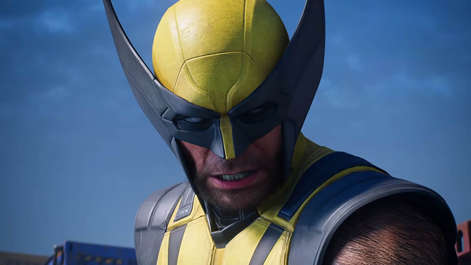 wolverine-close-up-1.jpeg