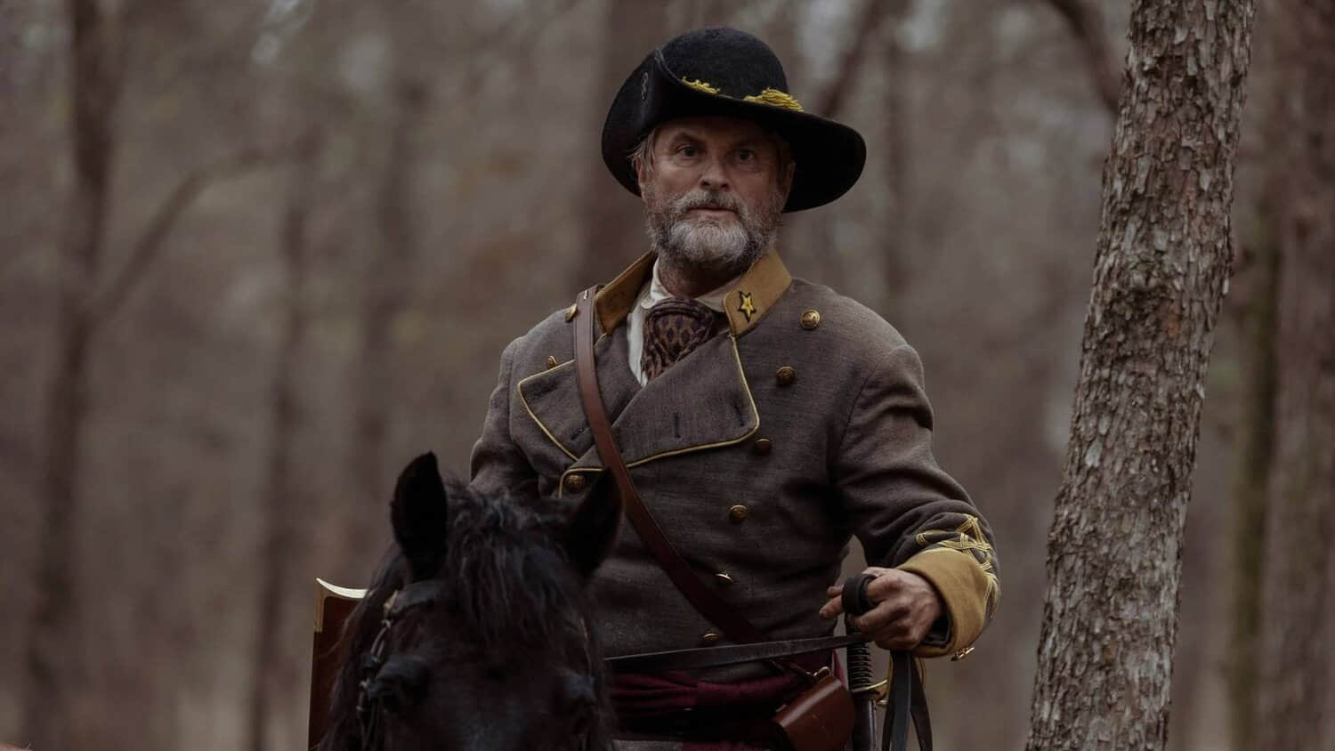 taylor-sheridan-lawman-bass-reeves-streaming-success-netflix-western.jpeg