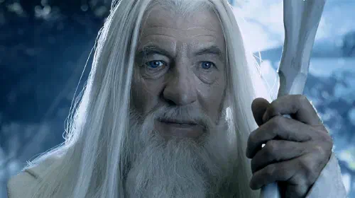 assets/gandalf-in-lord-of-the-rings-two-towers.jpeg