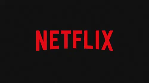 assets/netflix-logo.jpeg