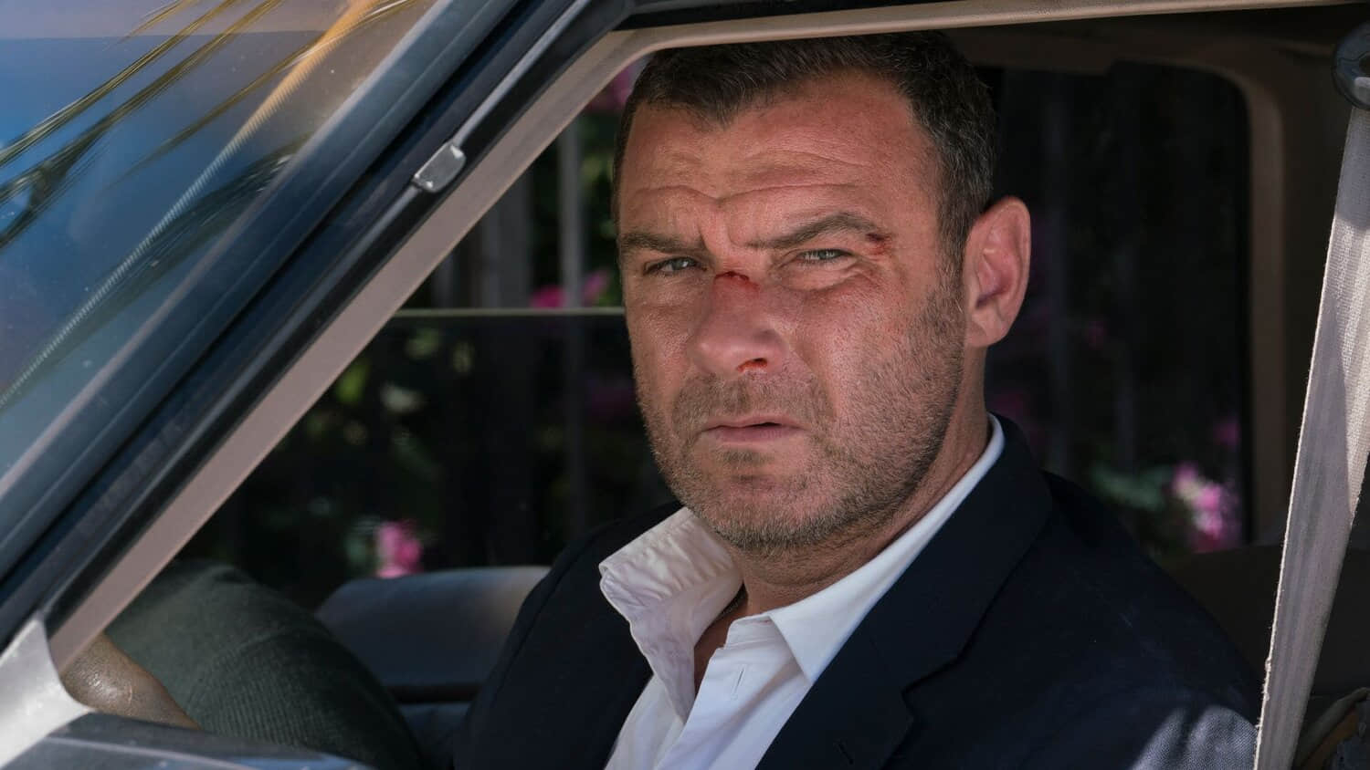 ray-donovan-liev-schreiber-as-ray-donovan.jpeg