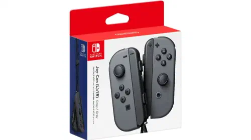 assets/Nintendo-Joy-Con-Fine.jpeg