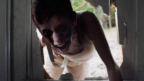 assets/it-follows-movie.jpeg