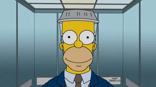 assets/the-simpsons_dwpitx.jpeg