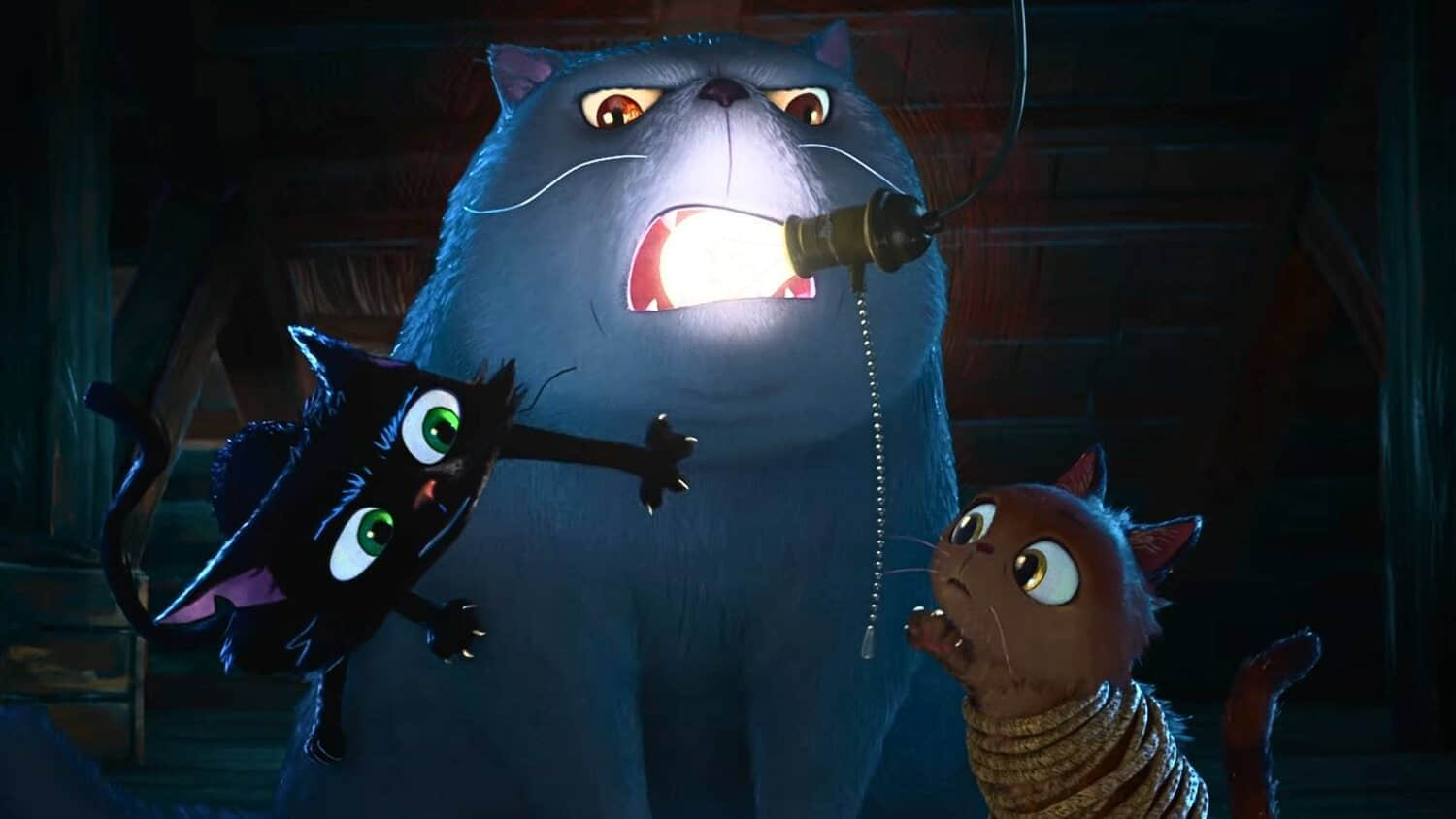 gatto-trailer.jpeg