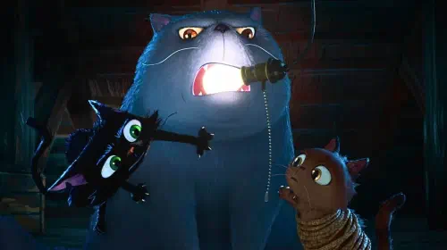 assets/gatto-trailer.jpeg