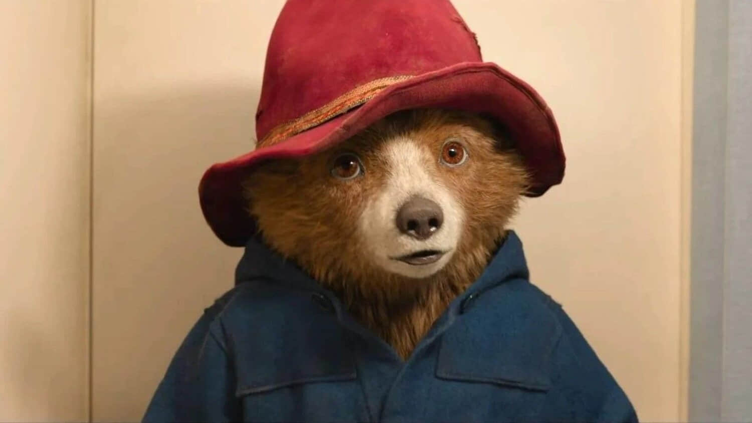 paddington-bear-movie.jpeg