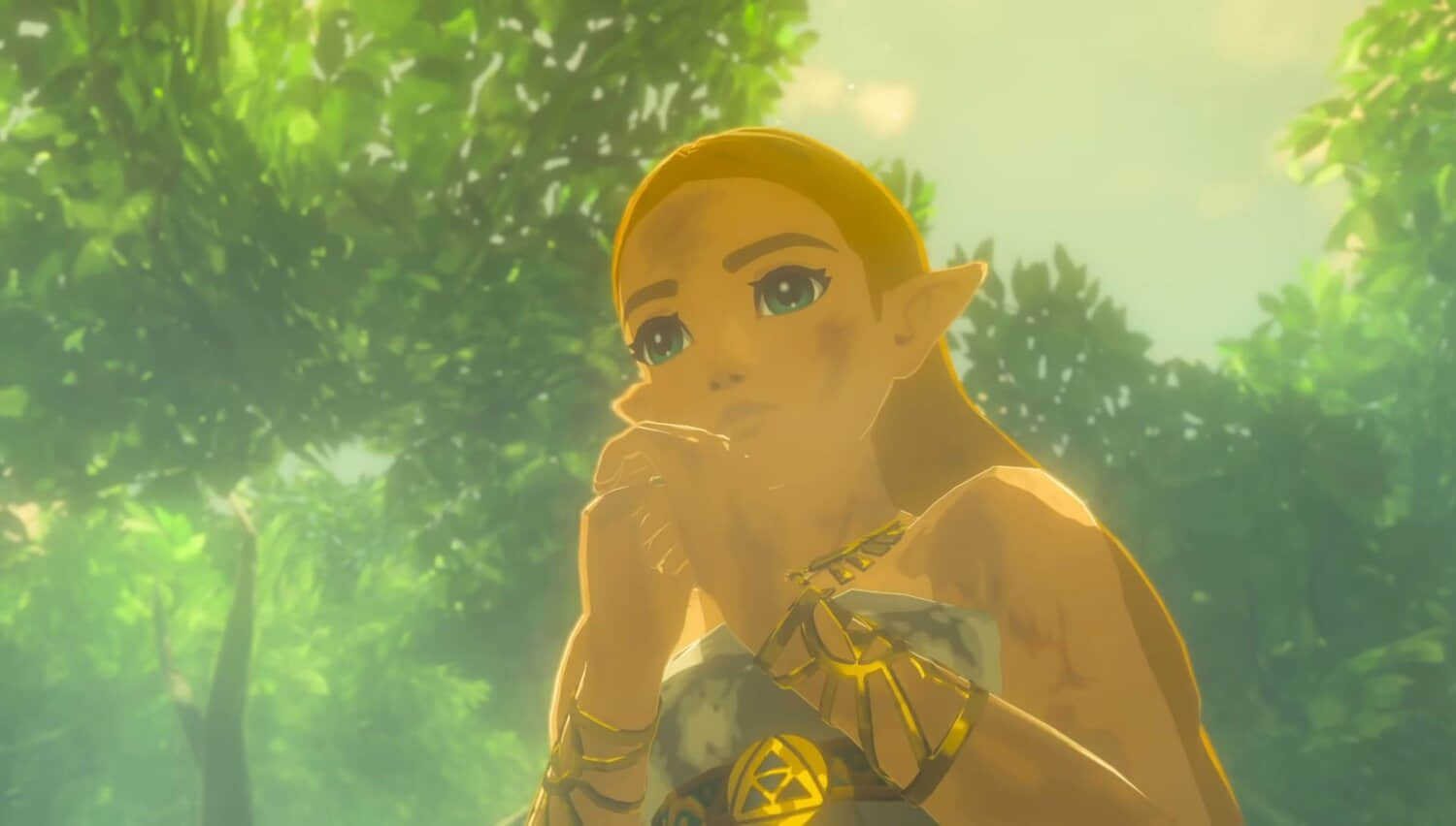 official-confirms-zelda-will-return-to-the-wilderness-era-for-the-last-time.jpeg