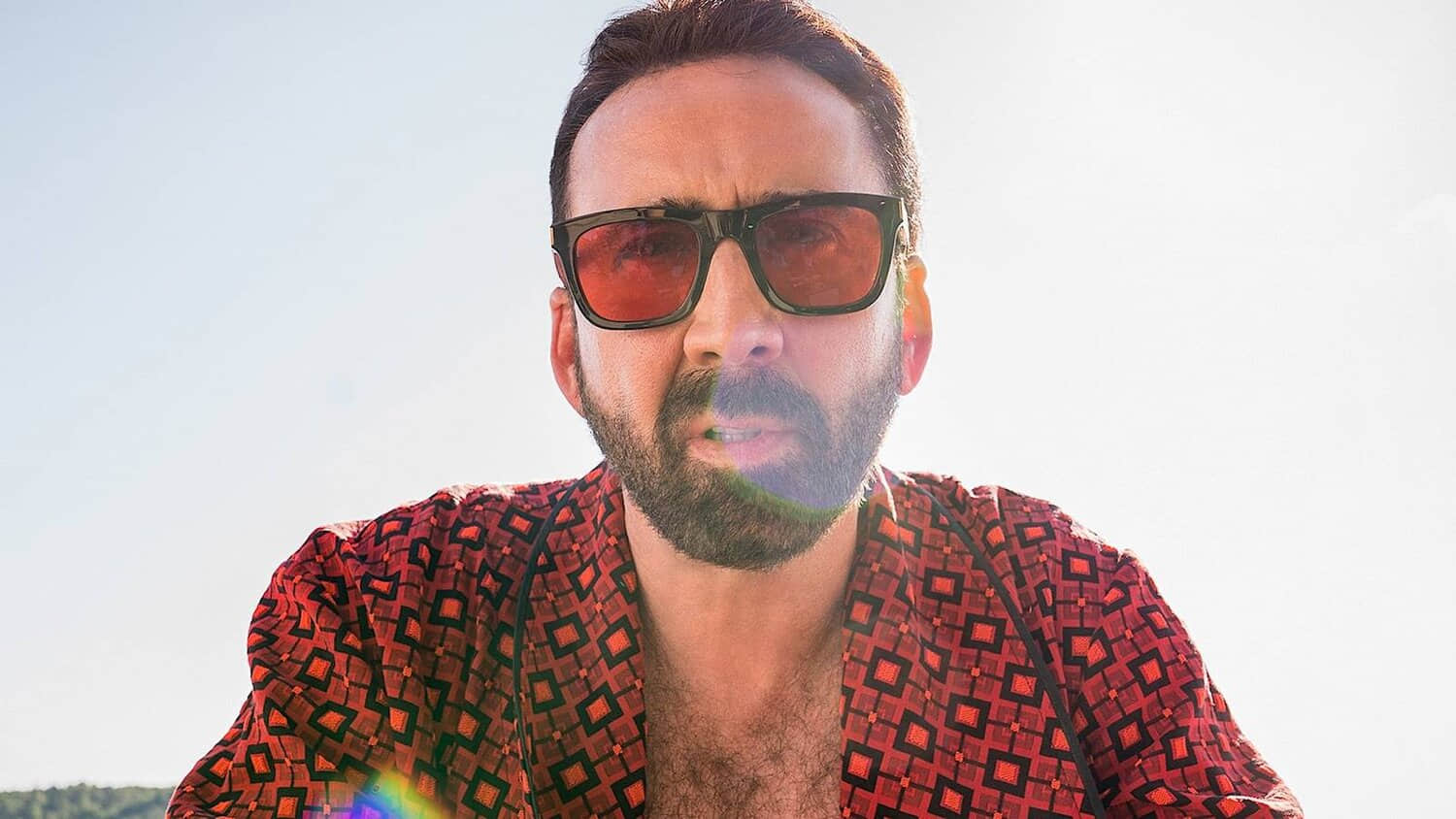 nicolas-cage-in-the-unbearable-weight-of-massive-talent.jpeg