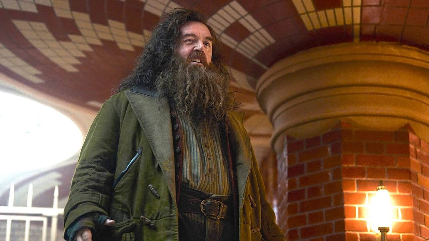 nick-frost-hagrid-harry-potter-hbo.jpeg
