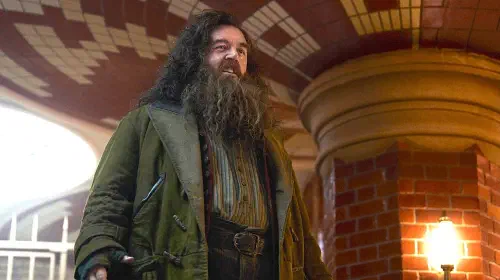 assets/nick-frost-hagrid-harry-potter-hbo.jpeg