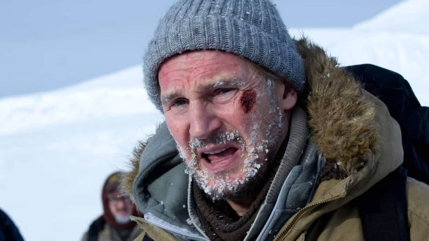 liam-neeson-in-the-2011-film-the-grey.jpeg