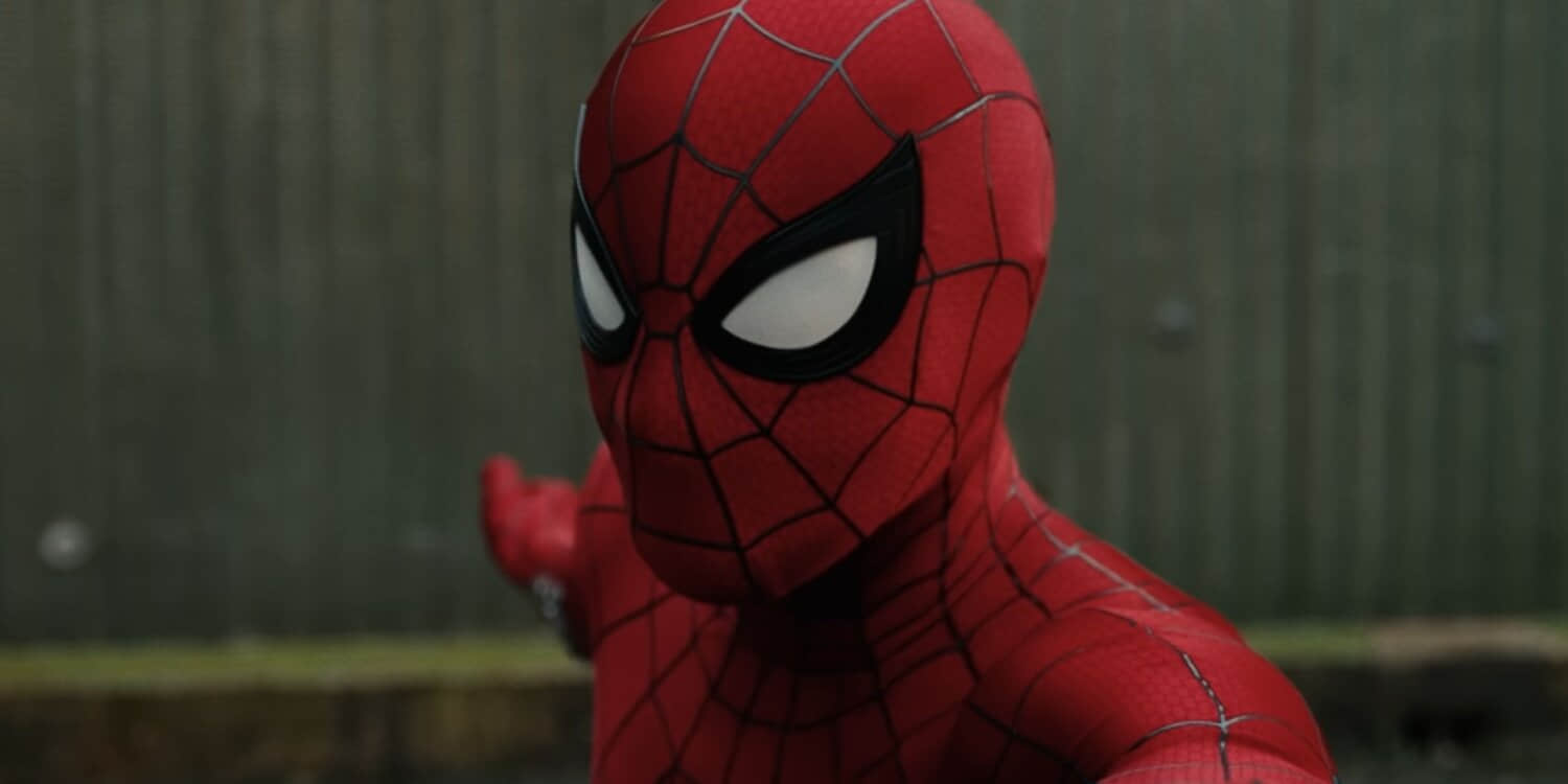 spider-man-brand-new-day-2.jpeg