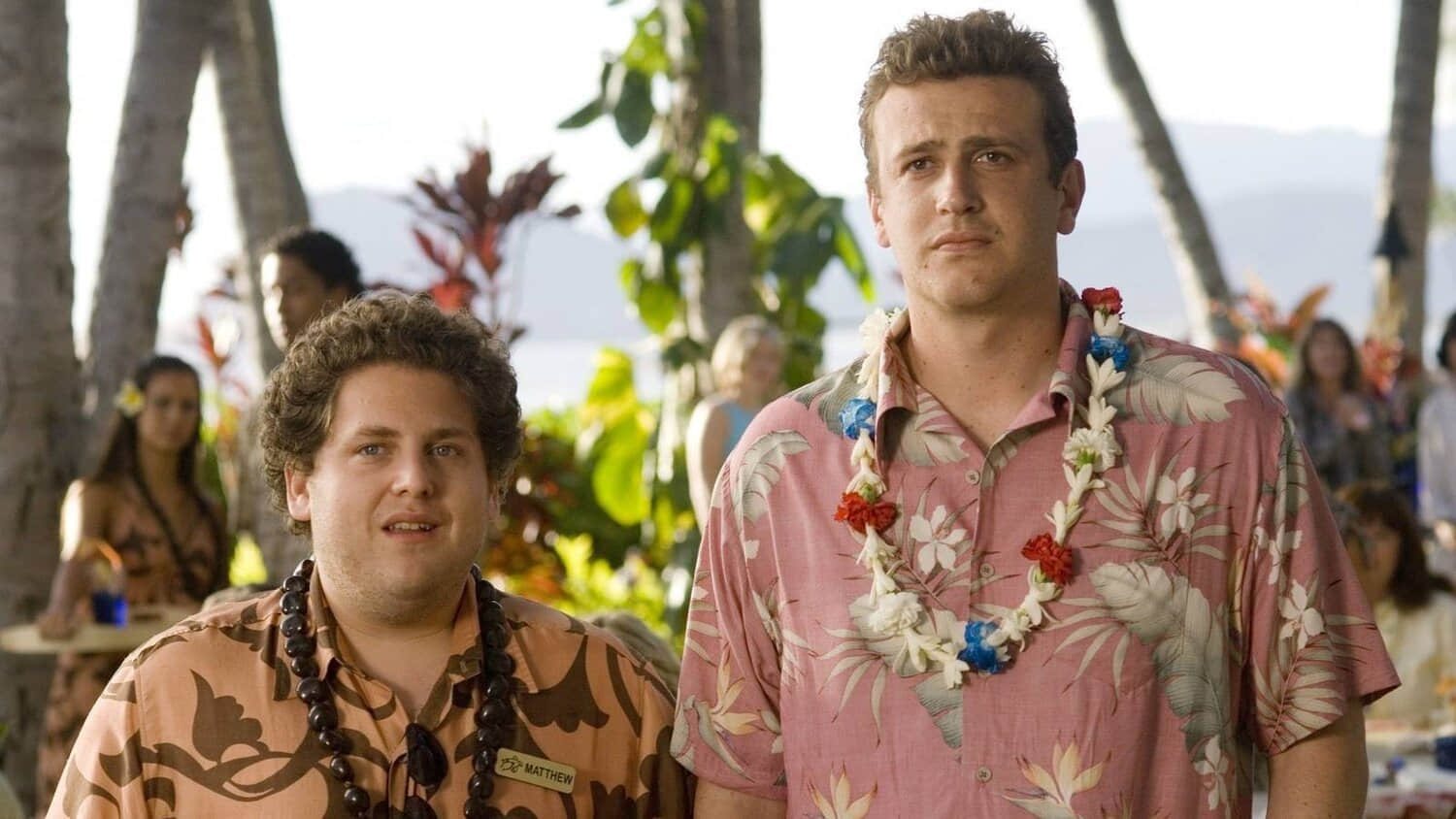 jonah-hill-and-jason-segel-in-forgetting-sarah-marshall.jpeg