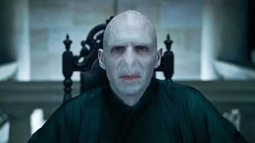 assets/ralph-fiennes-in-harry-potter-and-the-deathly-hallows-part-1.jpeg