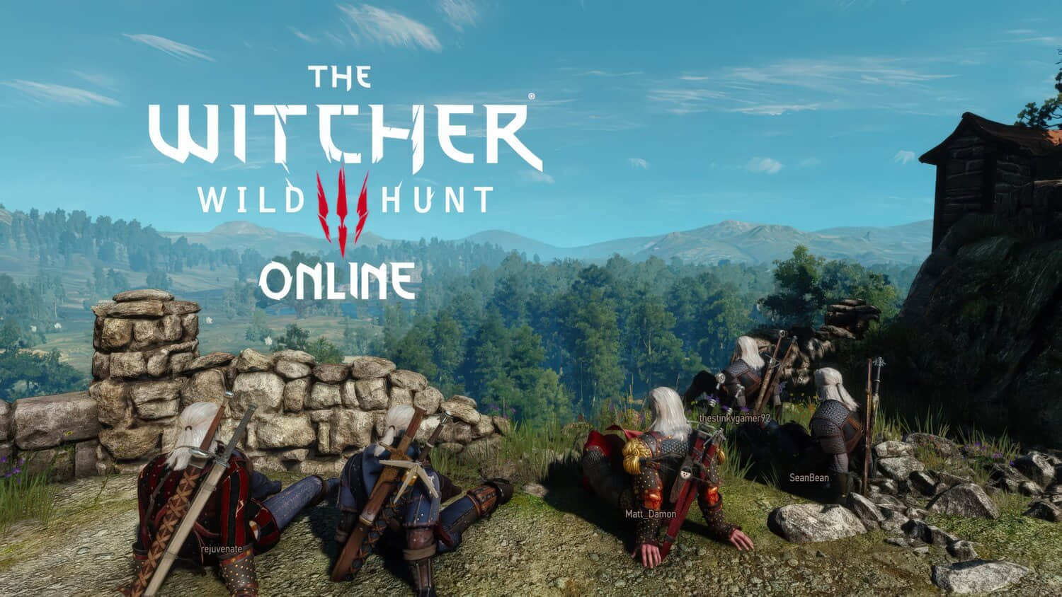 The-Witcher-3-Online-Mod-HD-scaled.jpeg