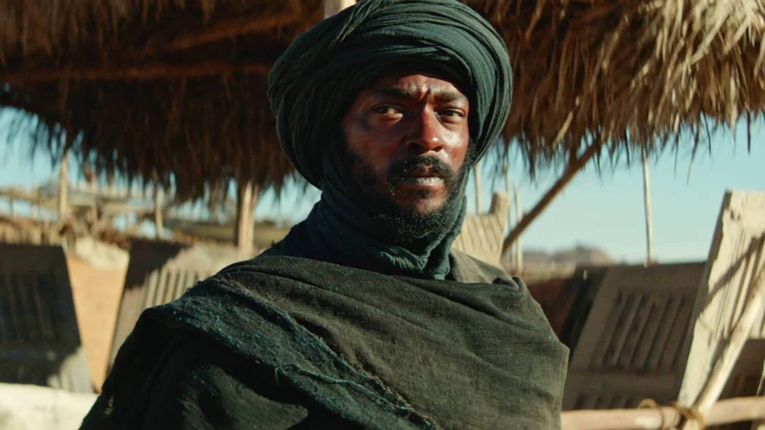 desert-warrior-anthony-mackie.jpeg