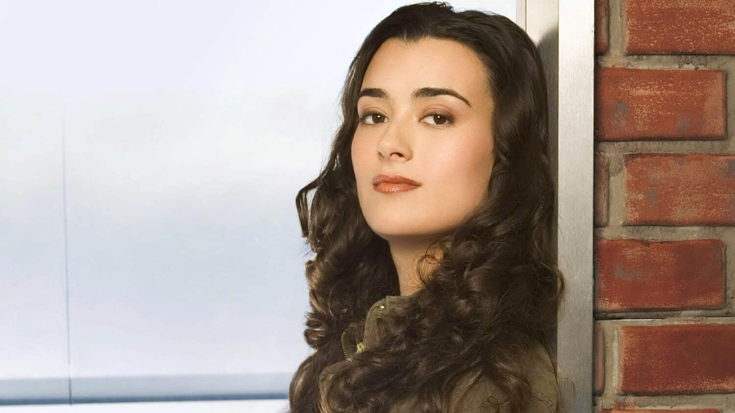 cote-de-pablo-as-ziva-david-in-ncis.jpeg