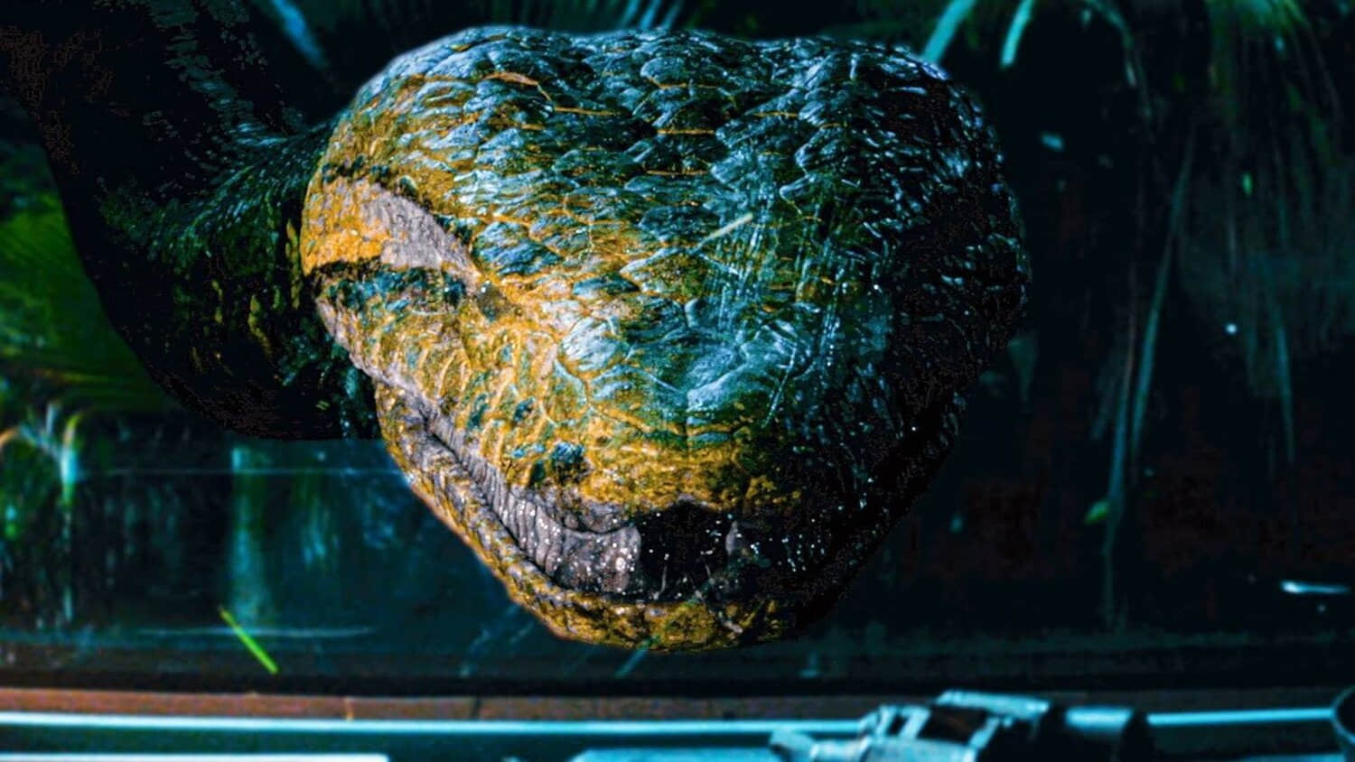 anaconda-snake-2025-1.jpeg