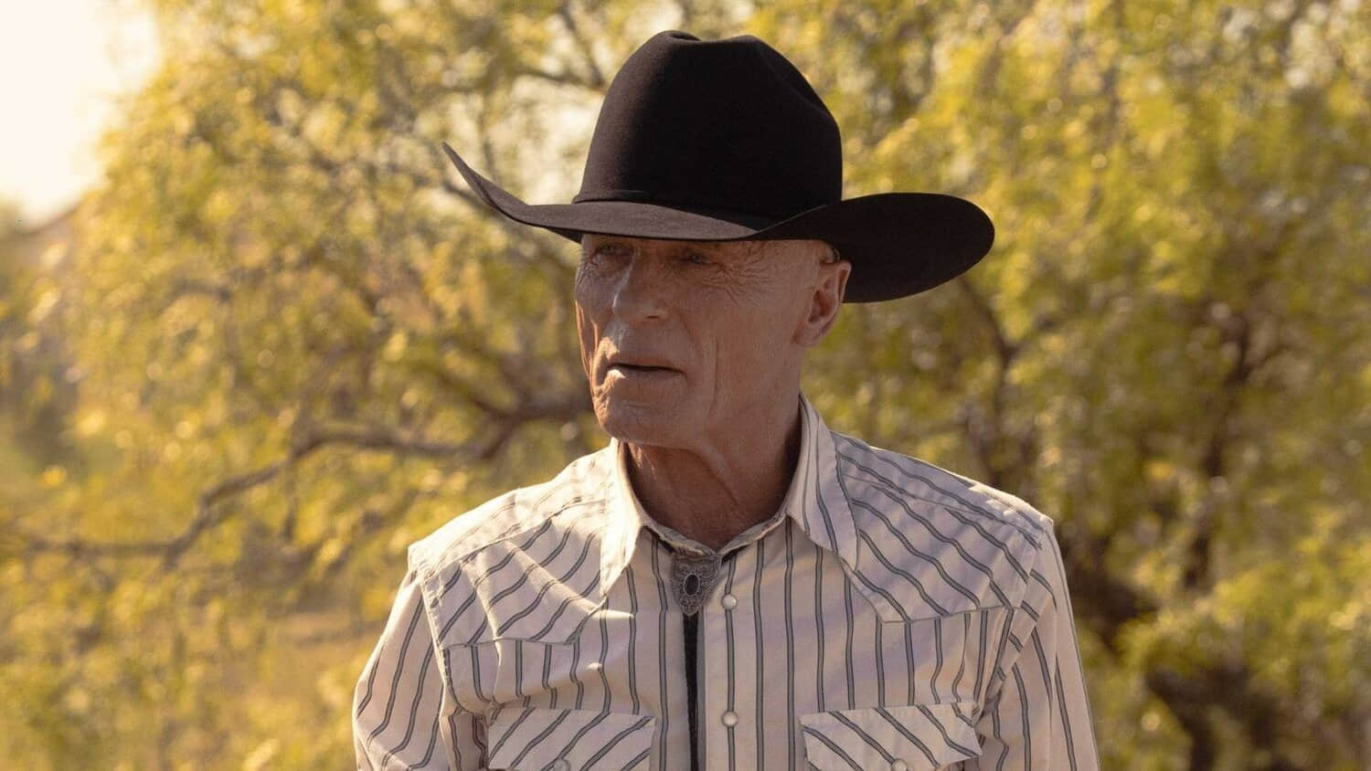 ed-harris-taylor-sheridan-dutton-ranch-yellowstone-spin-off-sequel.jpeg
