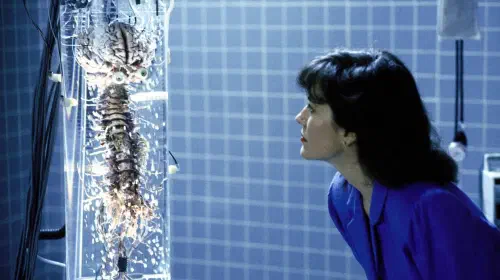 assets/robocop-2.jpeg
